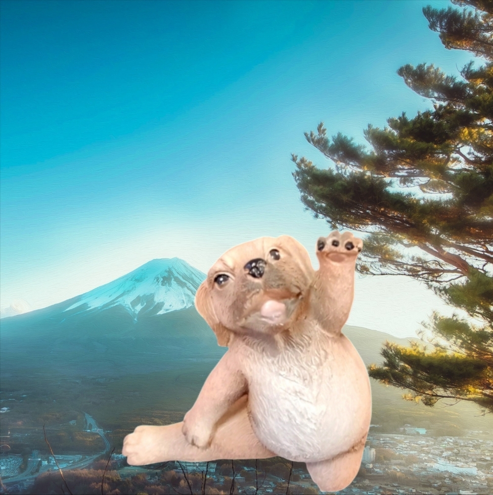 Labrador Yoga Dog Pose NEW
